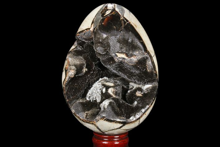 Bargain, Septarian Dragon Egg Geode - Sparkly Black Crystals #81350